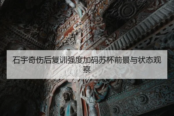 石宇奇伤后复训强度加码苏杯前景与状态观察
